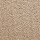 Beige Warm