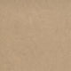 Beige Warm