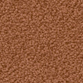 Rost (1P96)