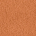 Terrakotta (1Q09)