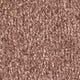 Haselnuss (1Q17)