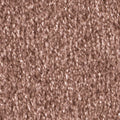 Haselnuss (1Q17)