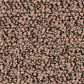 Haselnuss (1Q39)