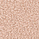 Apricot (1Q41)