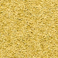 Senf (2G20)