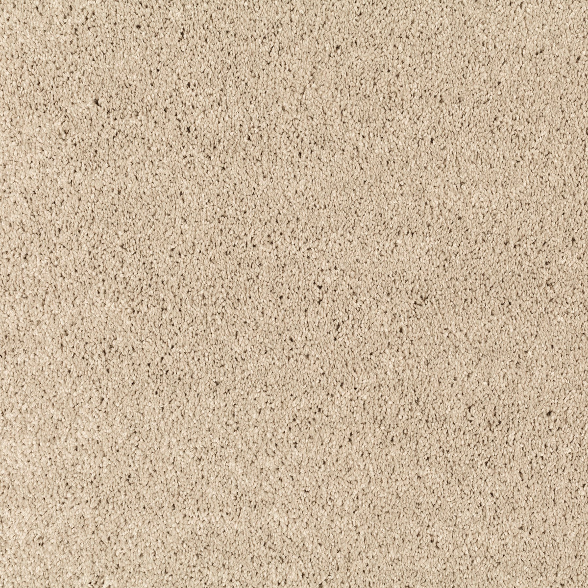 JAB Anstoetz Champ Teppich nach Maß | Farbe: Sand (074)