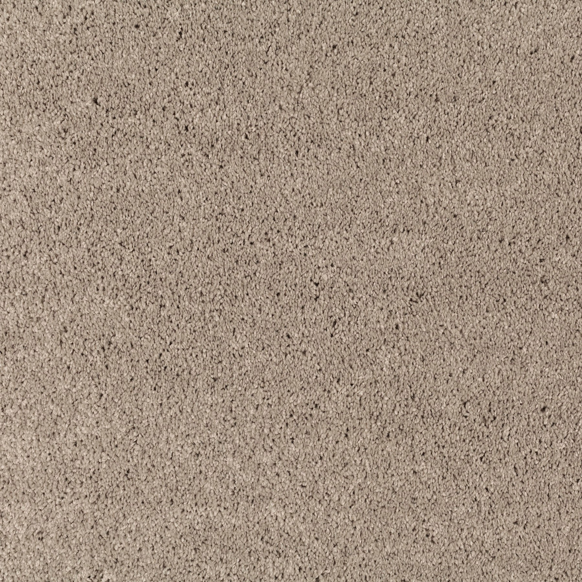 JAB Anstoetz Champ Teppichboden | Farbe: Taupe (272)