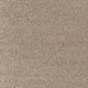 Taupe (272)