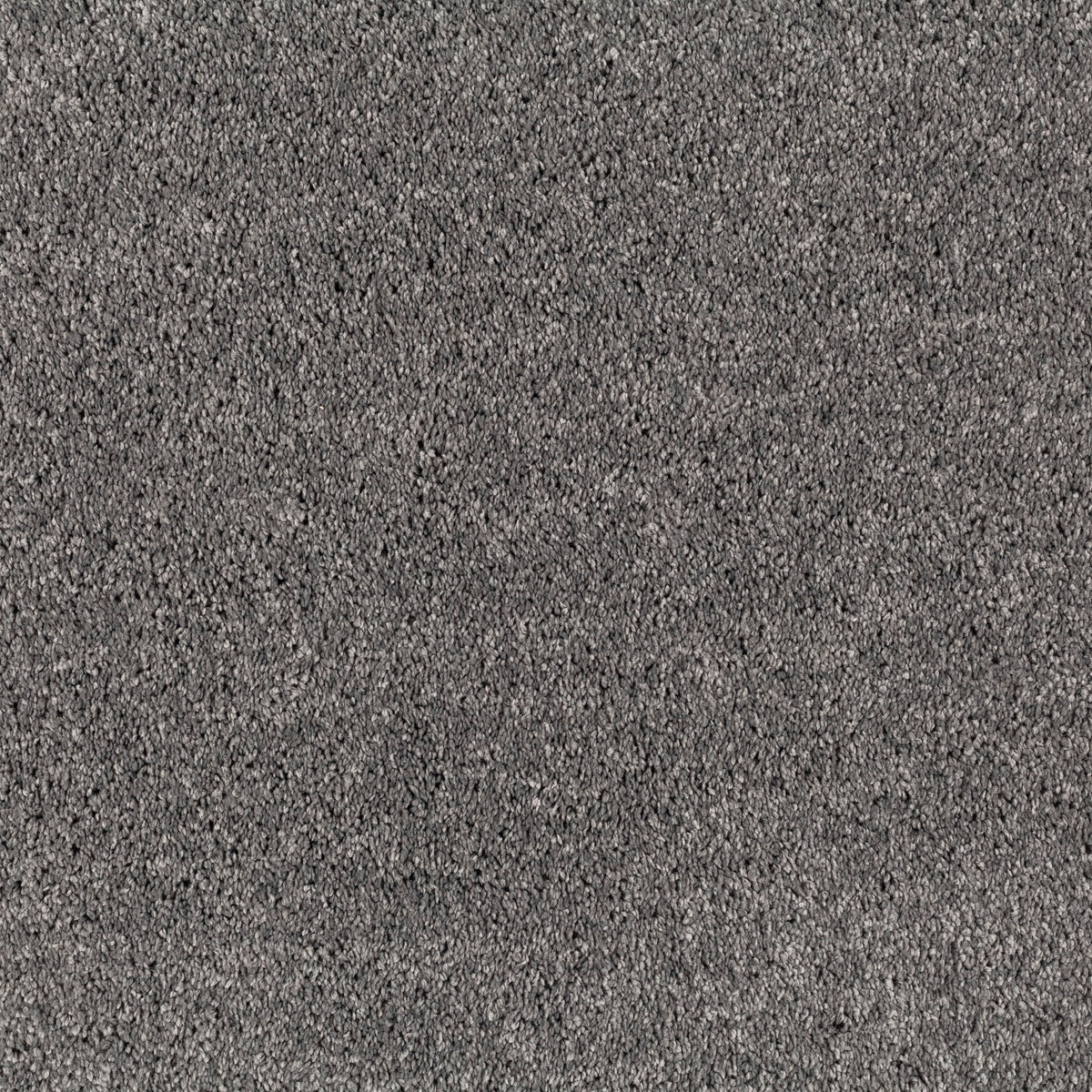 JAB Anstoetz Champ Teppichboden | Farbe: Schiefergrau (592)