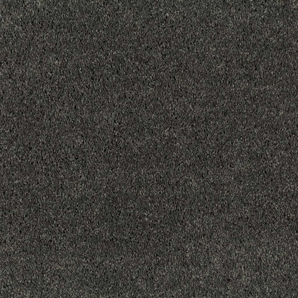JAB Anstoetz Champ Teppichboden | Farbe: Anthrazit (899)