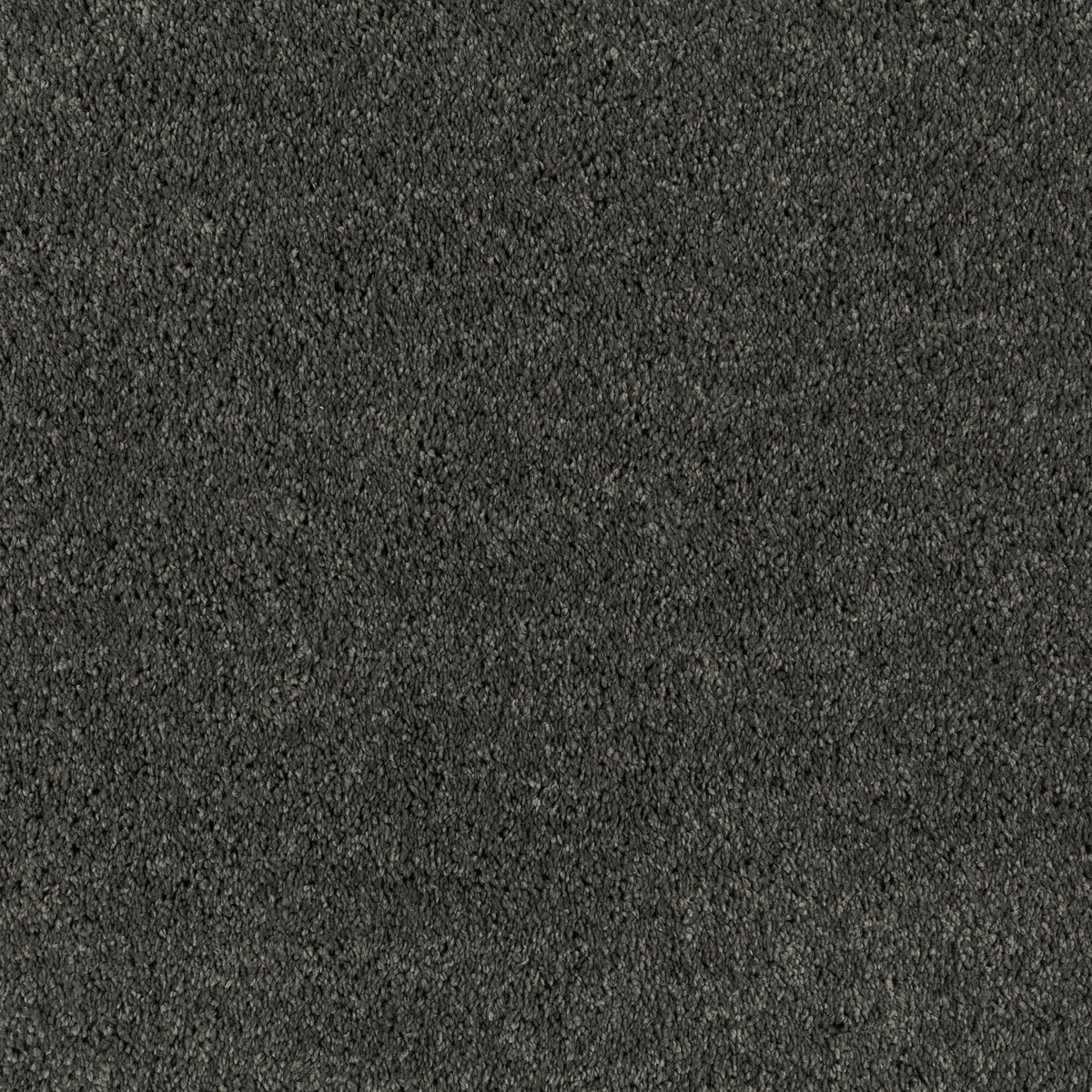 JAB Anstoetz Champ Teppichboden | Farbe: Anthrazit (899)