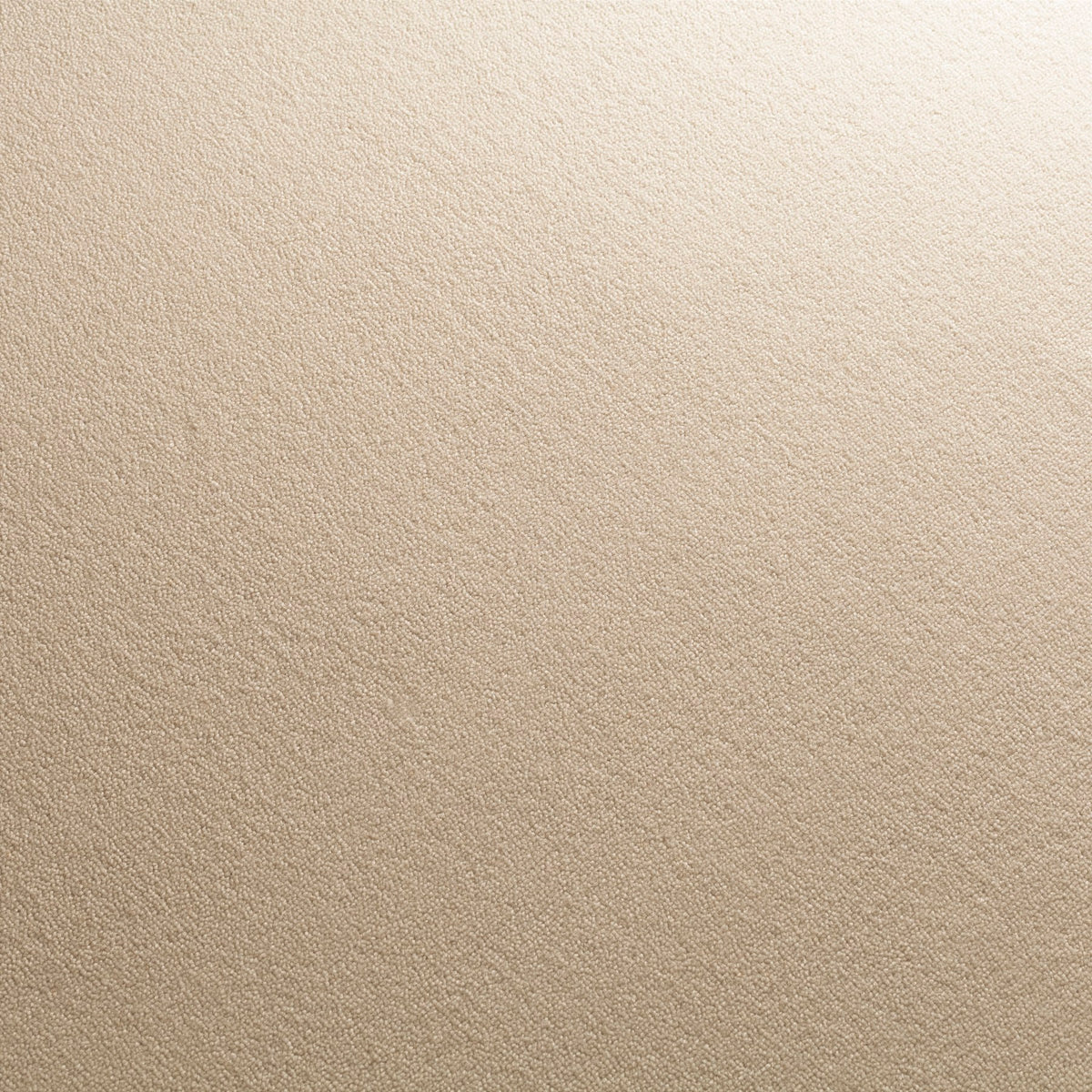 JAB Anstoetz Touch Teppichboden | Farbe: Sand Ton 4 (172)