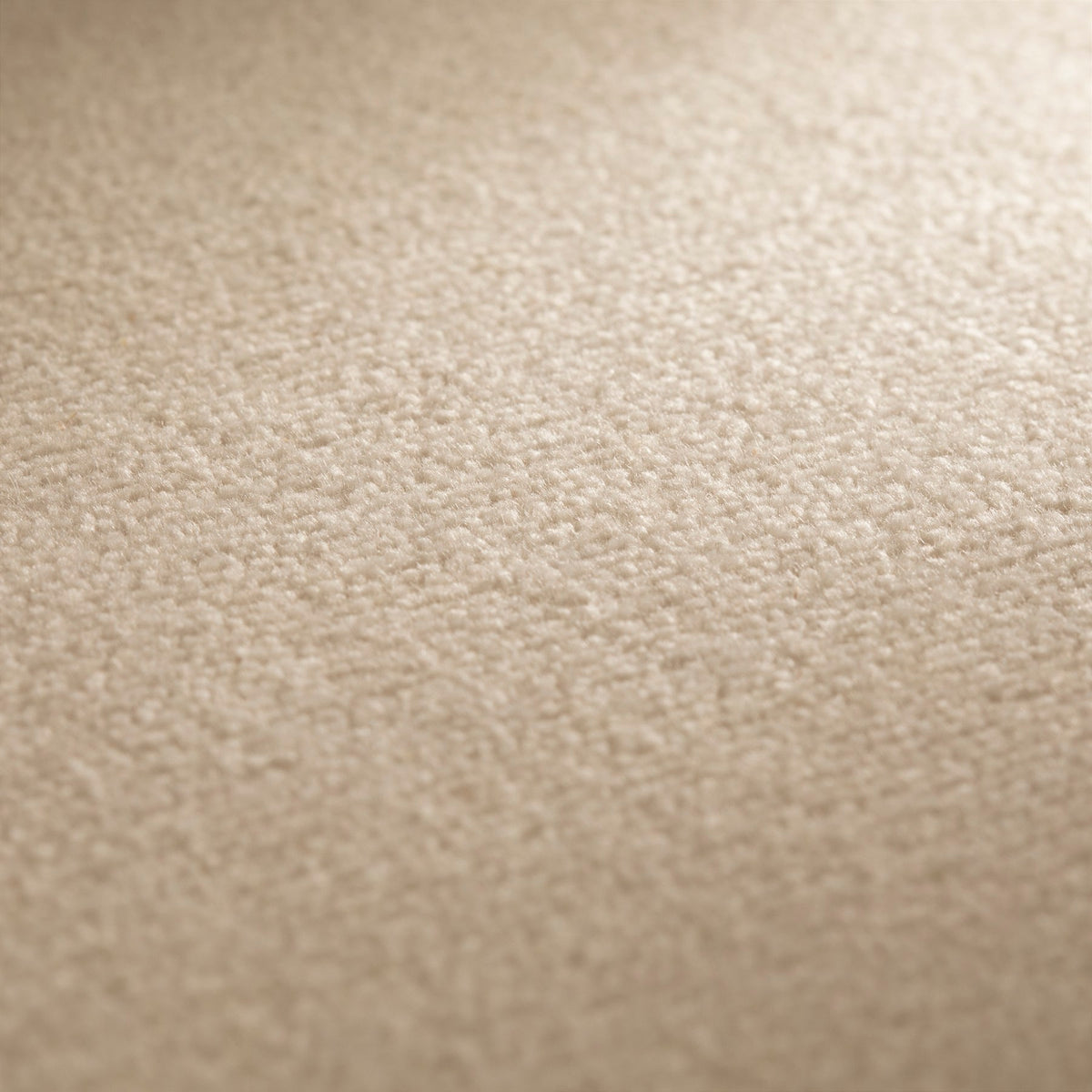 JAB Anstoetz Touch Teppichboden | Farbe: Sand Ton 4 (172) | Raumansicht