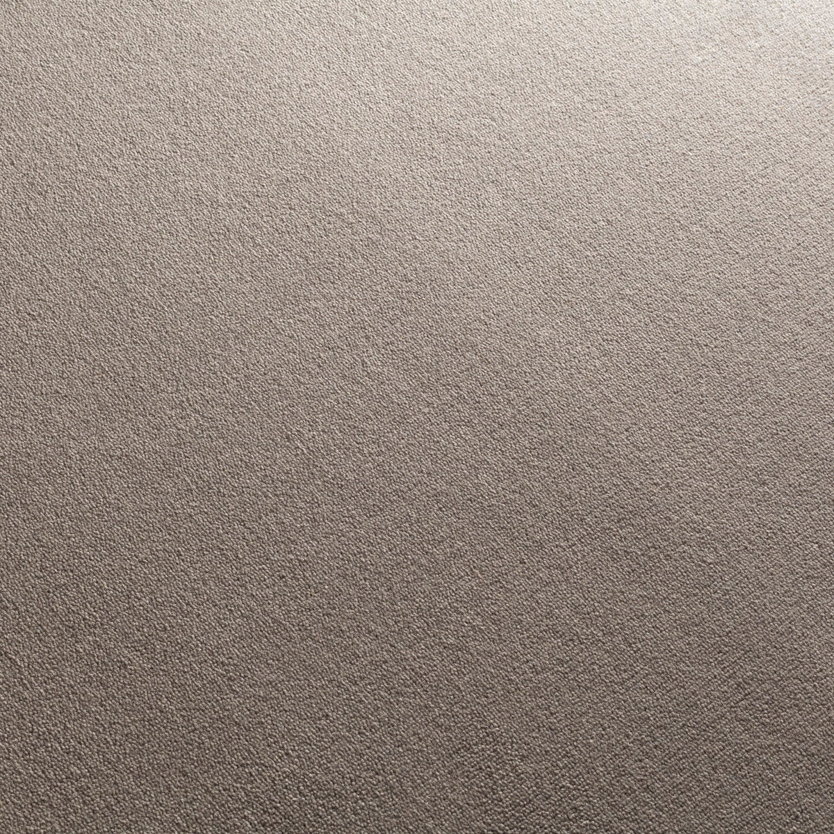 JAB Anstoetz Touch Teppichboden | Farbe: Grau Ton 1 (175)