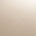 Beige Dunkel (273)