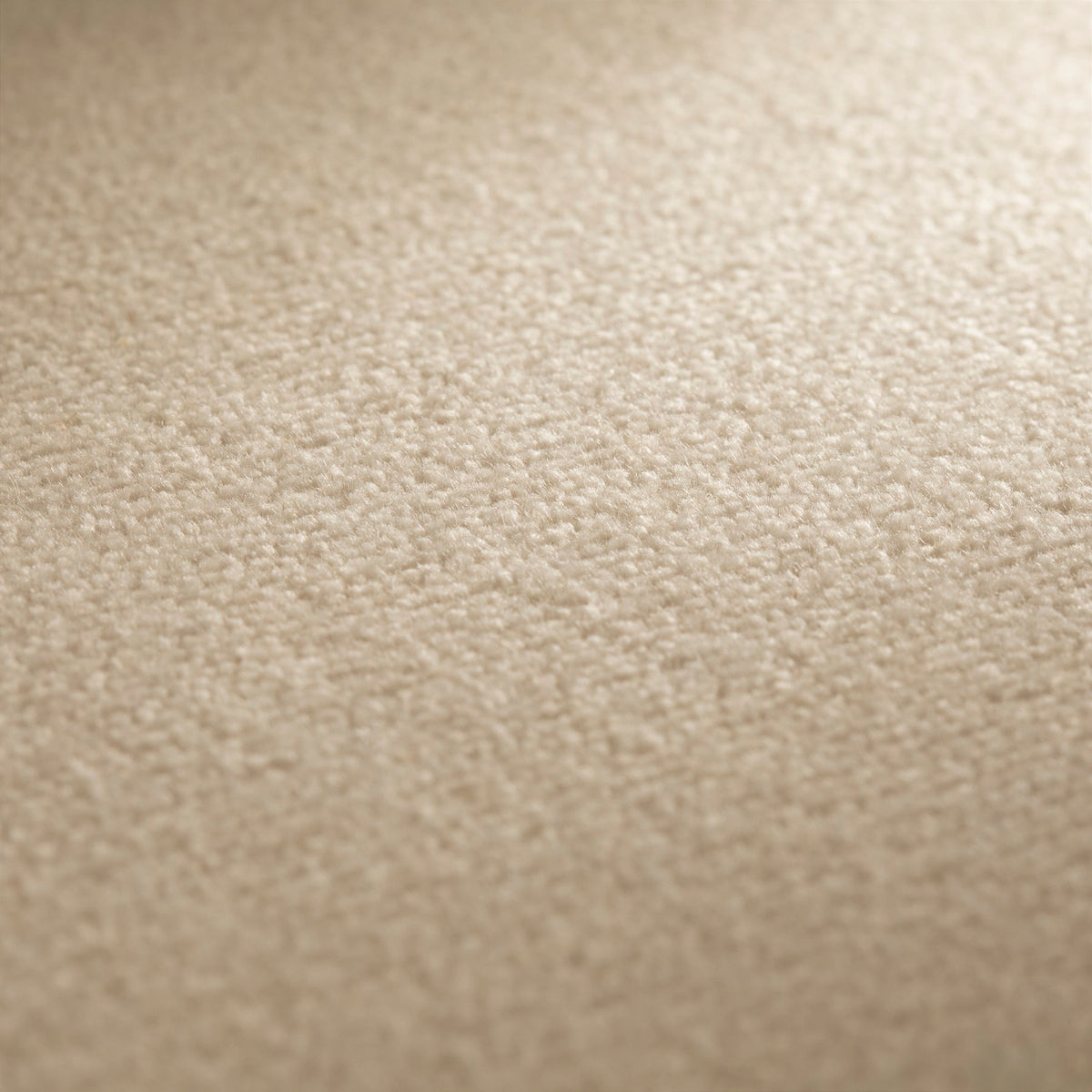 JAB Anstoetz Feel Teppichboden | Farbe: Sand Ton 3 (171) | Raumansicht