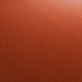 Rost Dunkel (769)