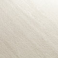 JAB Anstoetz Galaxy Teppich nach Maß | Farbe: Beige (198)