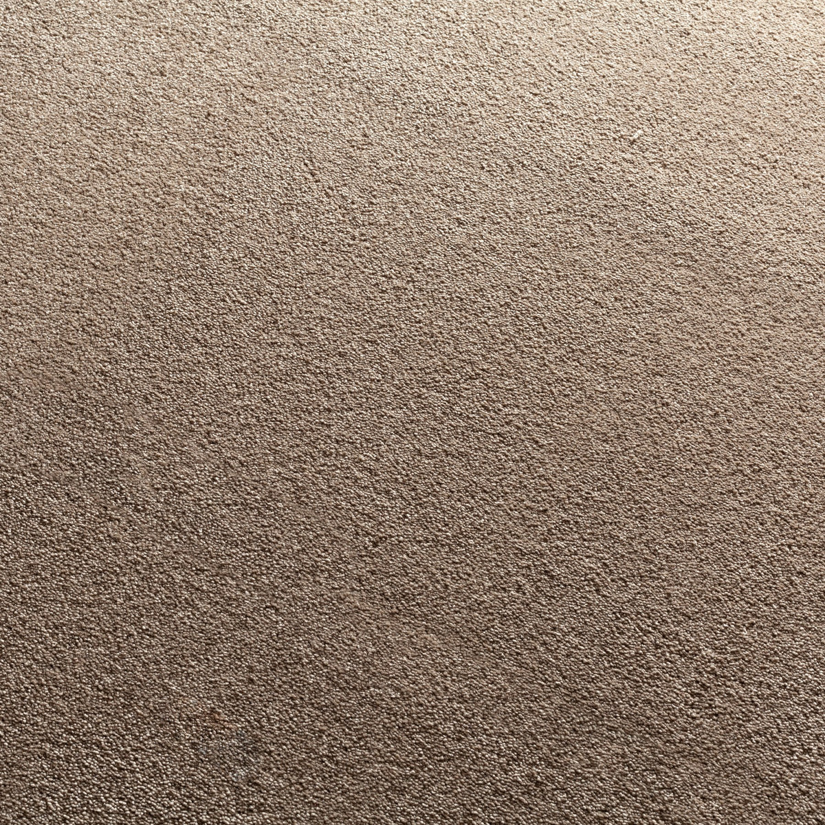 JAB Anstoetz Galaxy Teppichboden | Farbe: Dunkeltaupe Hell (222)