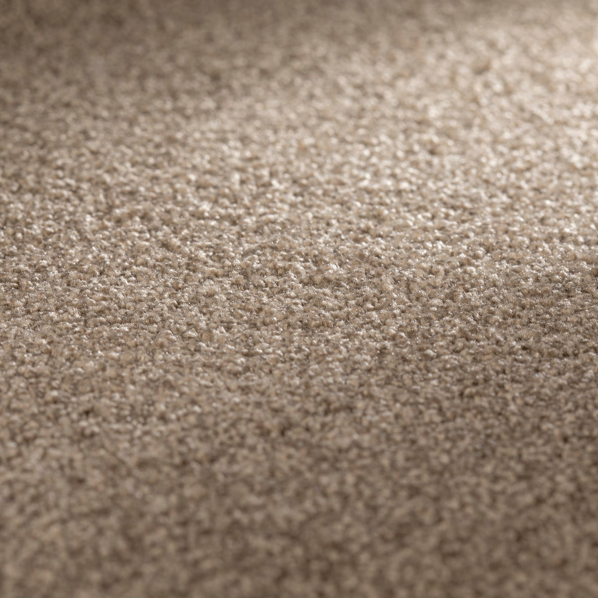 JAB Anstoetz Galaxy Teppichboden | Farbe: Dunkeltaupe Hell (222) | Raumansicht