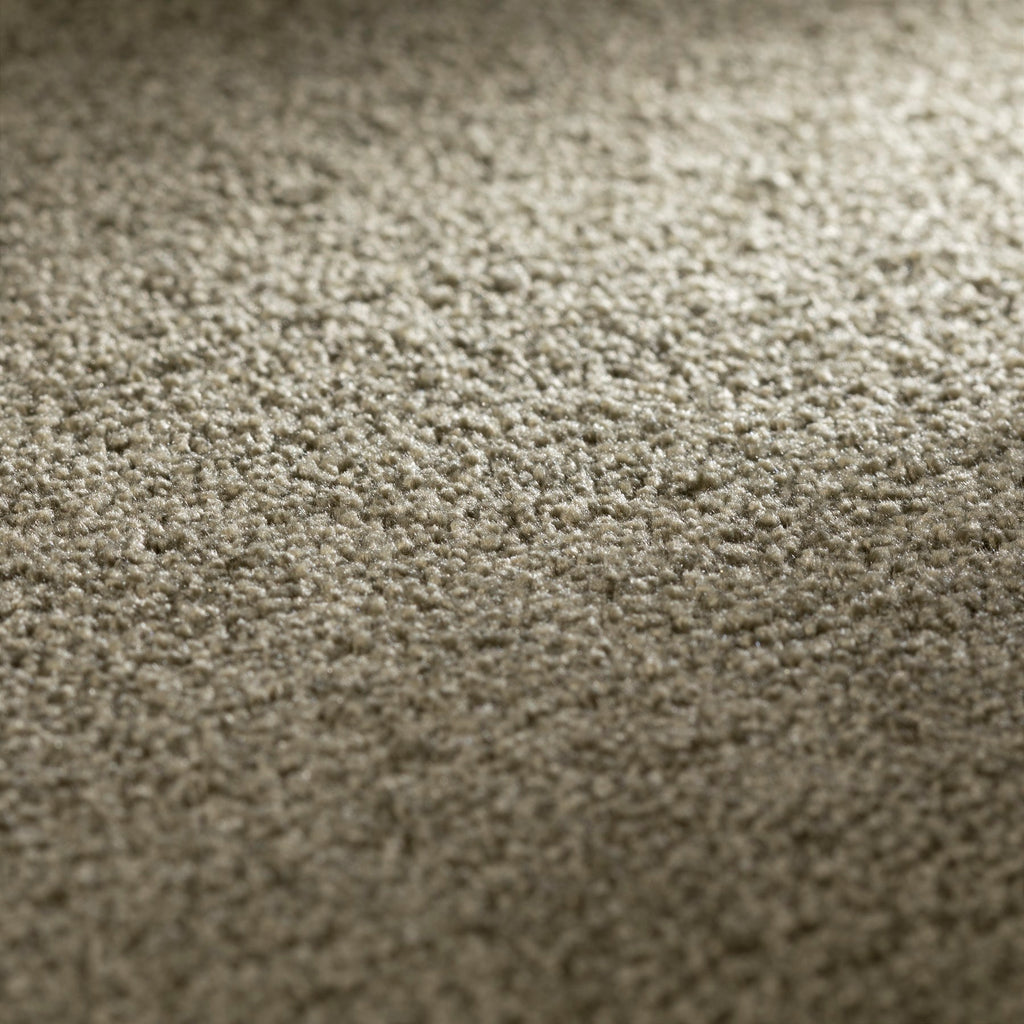 JAB Anstoetz Galaxy Teppichboden | Farbe: Dunkeltaupe Dunkel (230) | Raumansicht