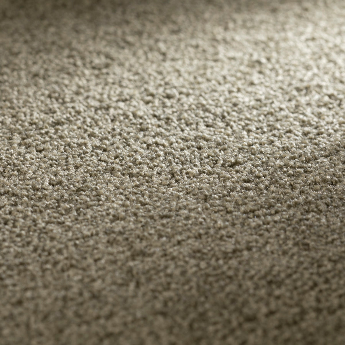 JAB Anstoetz Galaxy Teppichboden | Farbe: Dunkeltaupe Dunkel (230) | Raumansicht
