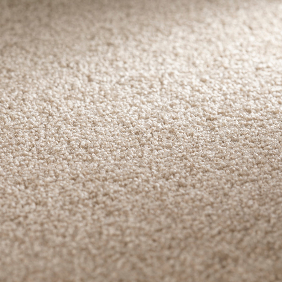 JAB Anstoetz Galaxy Teppichboden | Farbe: Nougat (271) | Raumansicht