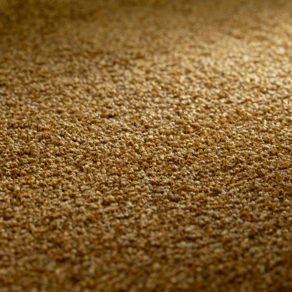 JAB Anstoetz Galaxy Teppichboden | Farbe: Cognac (347) | Raumansicht