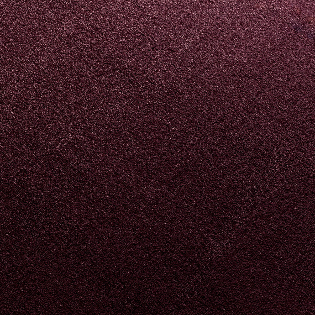 JAB Anstoetz Galaxy Teppich nach Maß | Farbe: Pflaume (388)