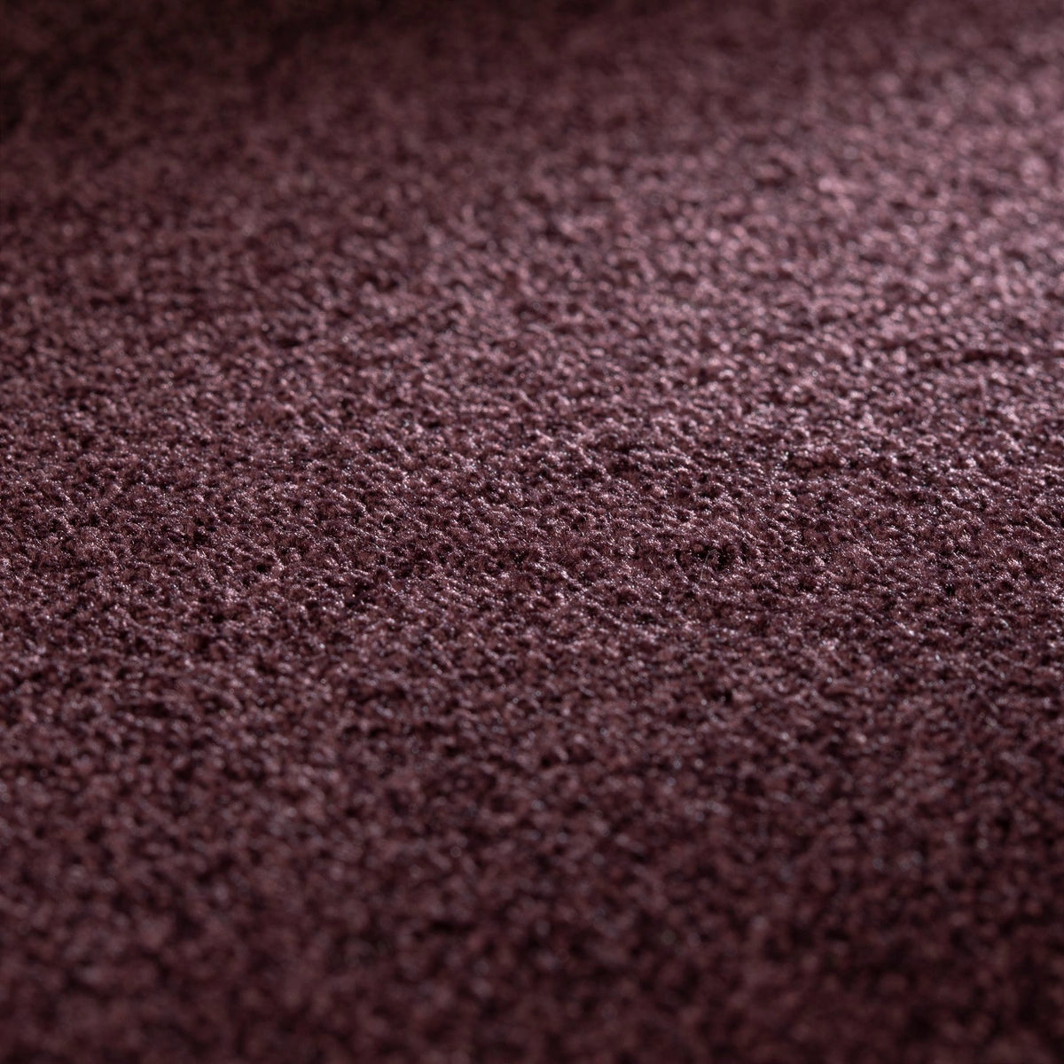 JAB Anstoetz Galaxy Teppichboden | Farbe: Pflaume (388) | Raumansicht