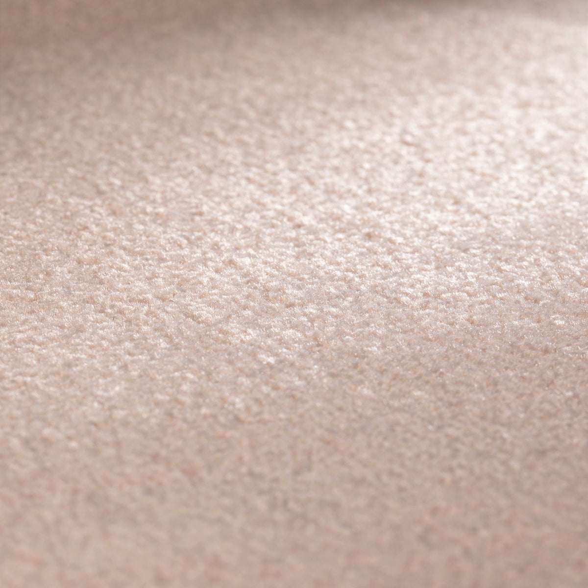 JAB Anstoetz Clarity Teppichboden | Farbe: Sand (063) | Raumansicht