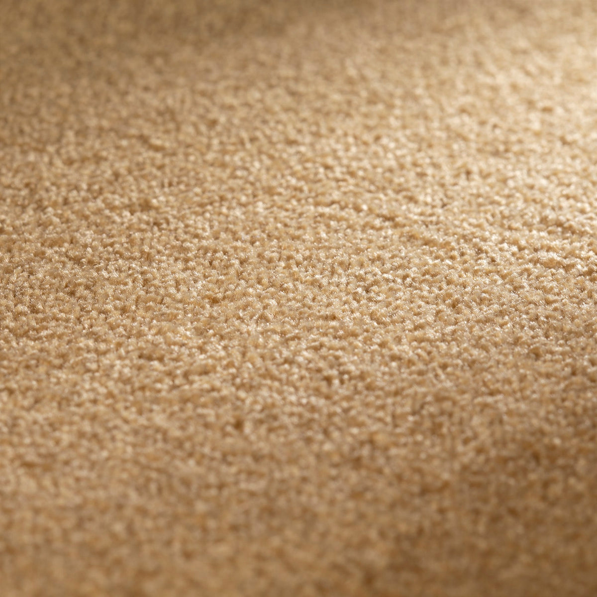 JAB Anstoetz Clarity Teppichboden | Farbe: Nougat (246) | Raumansicht