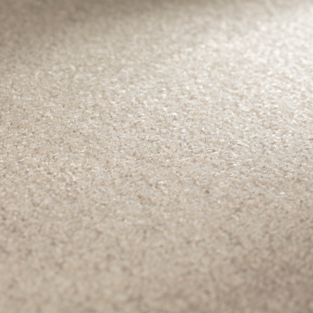 JAB Anstoetz Clarity Teppichboden | Farbe: Kieselgrau Hell (279) | Raumansicht