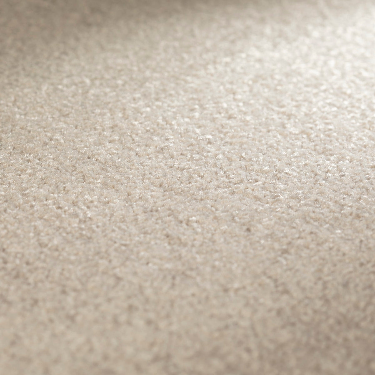 JAB Anstoetz Clarity Teppichboden | Farbe: Kieselgrau Hell (279) | Raumansicht