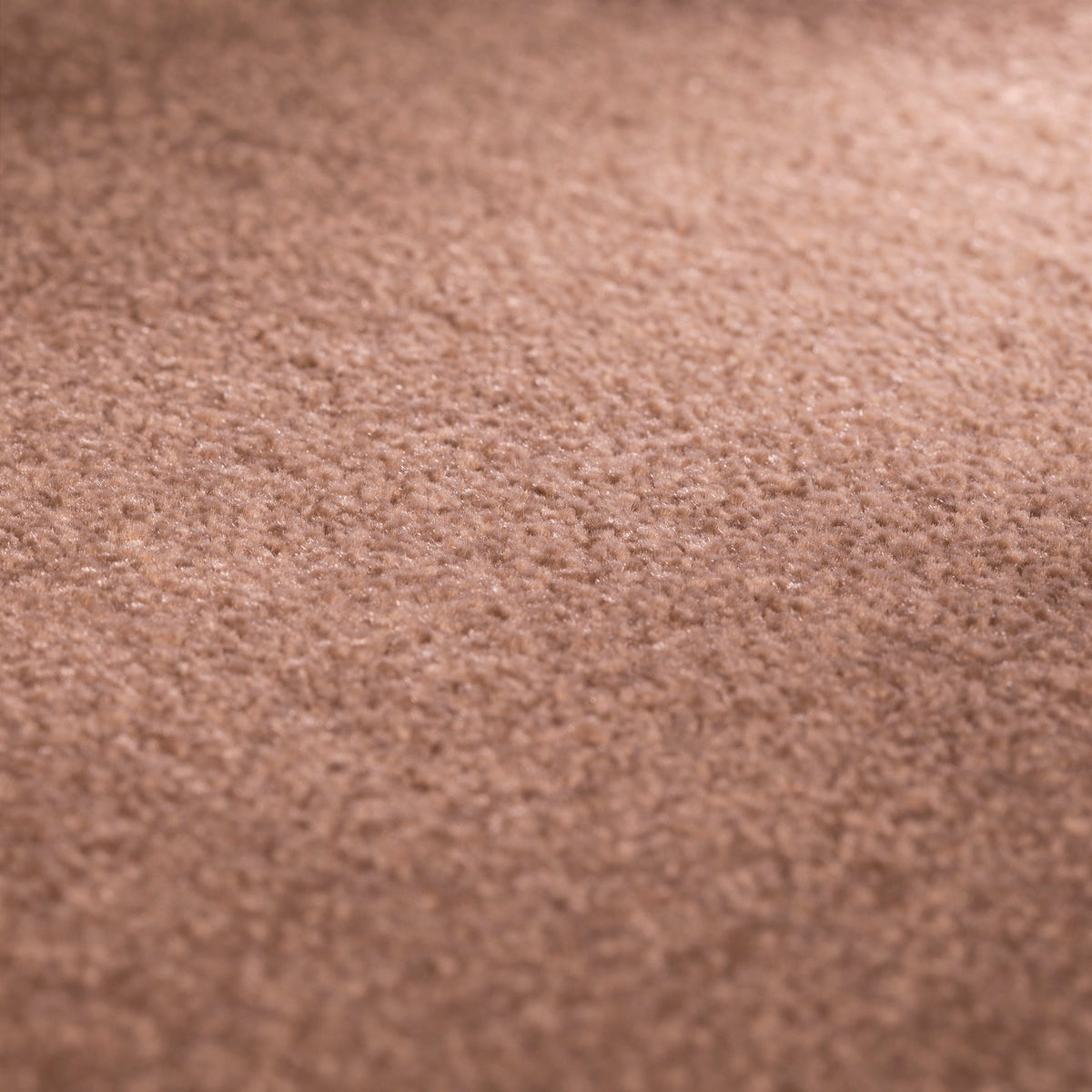 JAB Anstoetz Clarity Teppichboden | Farbe: Haselnuss Hell (360) | Raumansicht