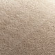 Taupe (272)