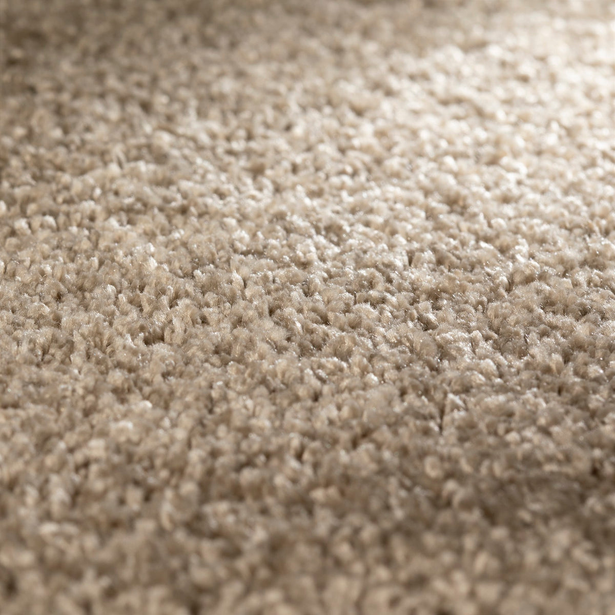 JAB Anstoetz Wind Teppichboden | Farbe: Taupe (272) | Raumansicht