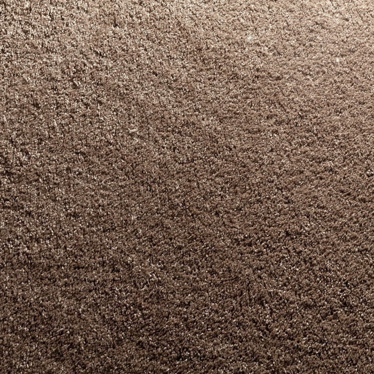 JAB Anstoetz Wind Teppichboden | Farbe: Braun (325)