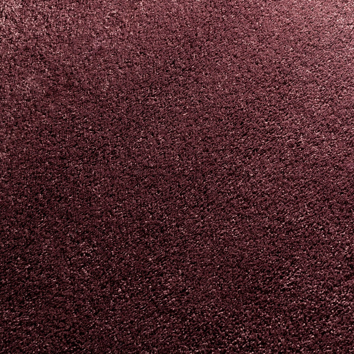 JAB Anstoetz Wind Teppichboden | Farbe: Bordeaux (481)