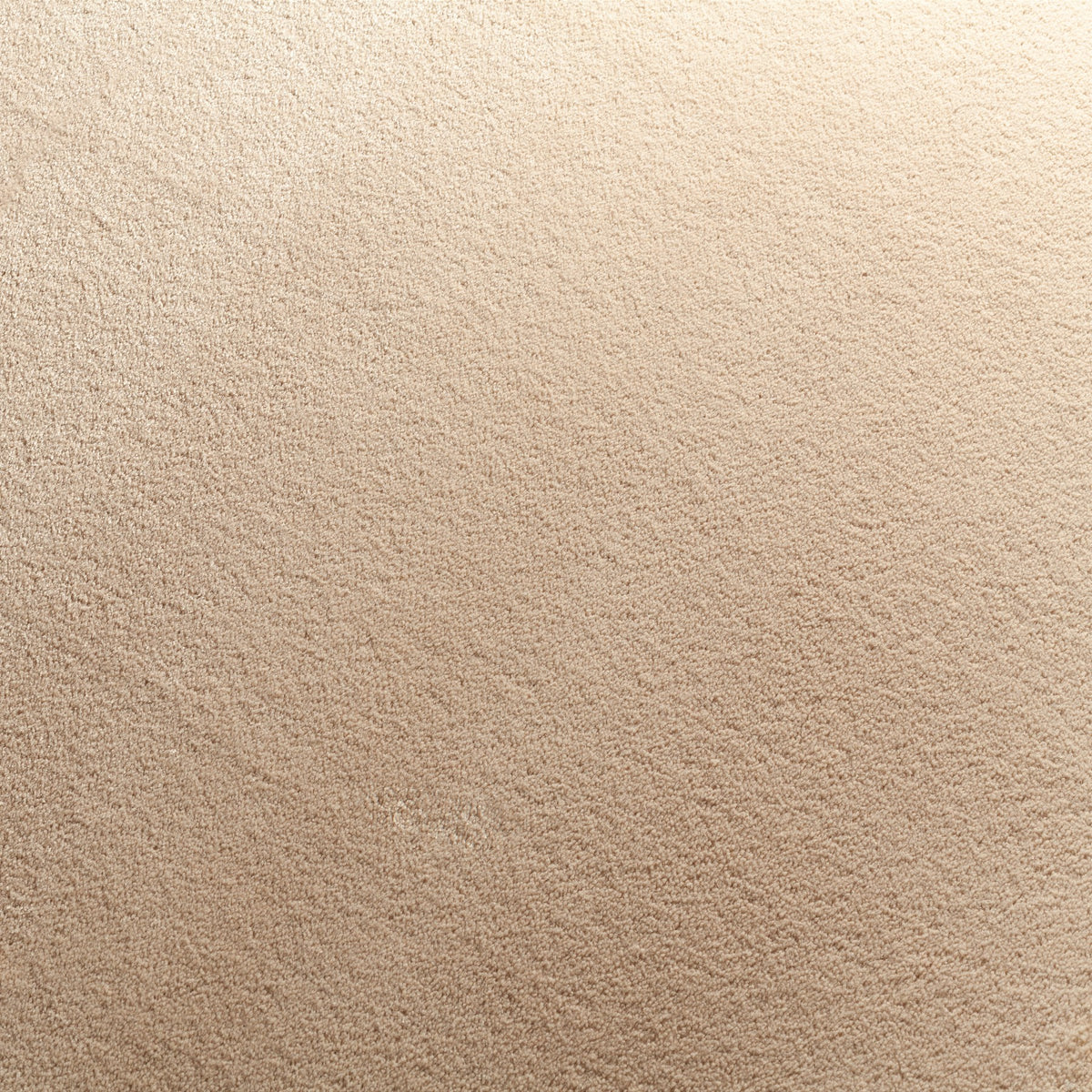 JAB Anstoetz Infinity Teppichboden | Farbe: Sand (175)