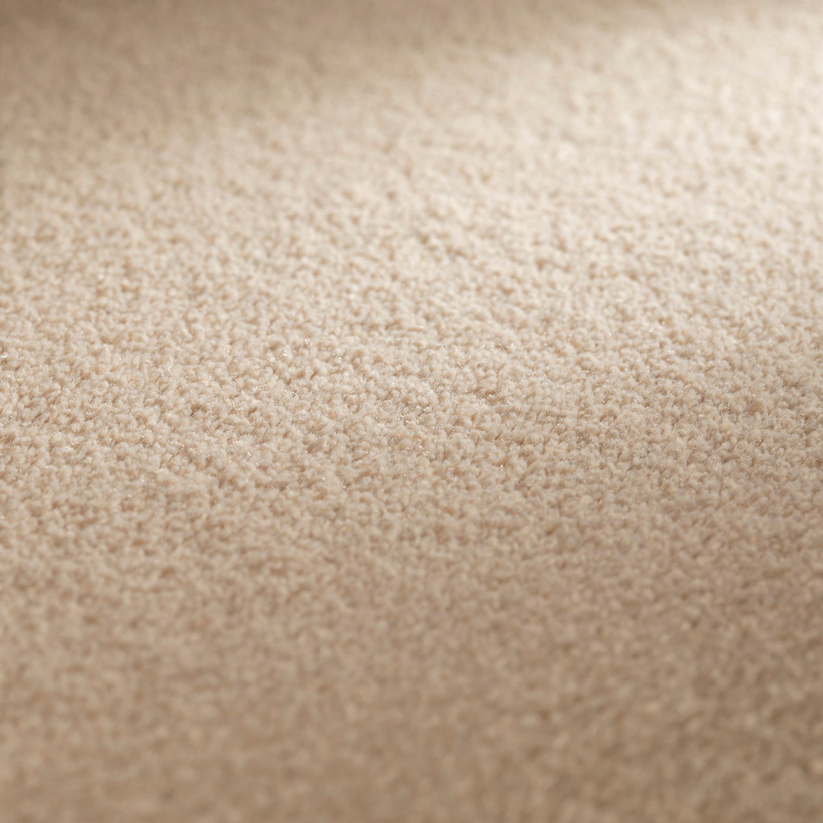 JAB Anstoetz Infinity Teppichboden | Farbe: Sand (175) | Raumansicht