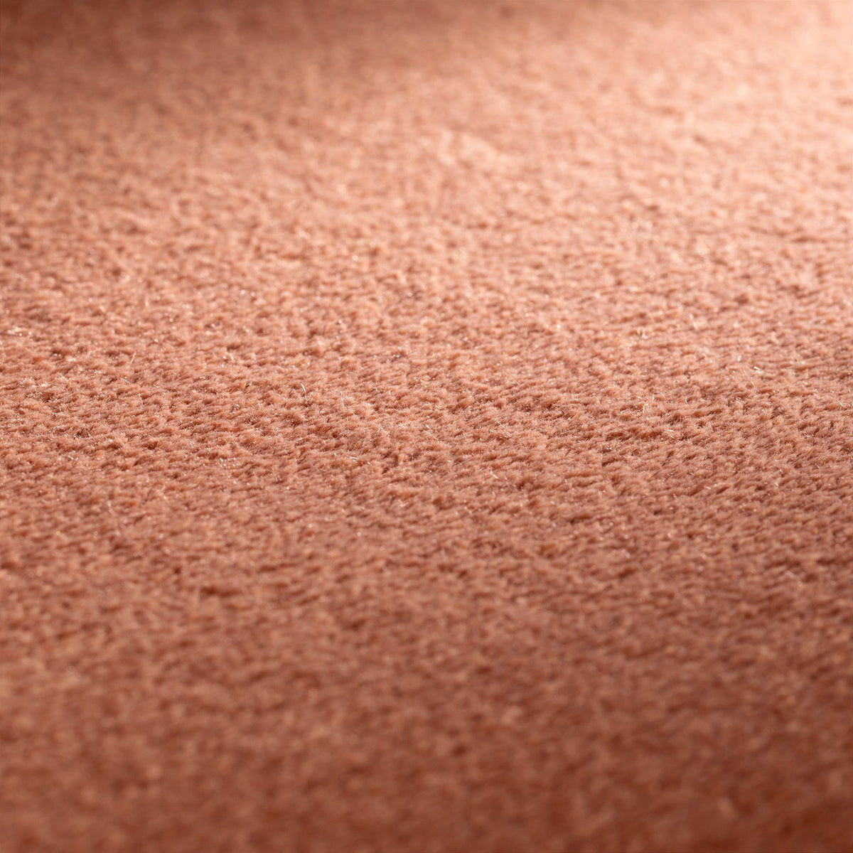 JAB Anstoetz Infinity Teppichboden | Farbe: Haselnuss Hell (265) | Raumansicht