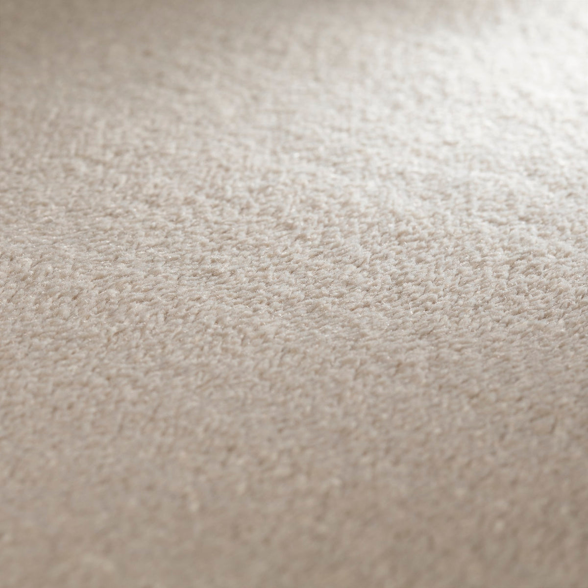 JAB Anstoetz Infinity Teppichboden | Farbe: Kieselgrau (273) | Raumansicht
