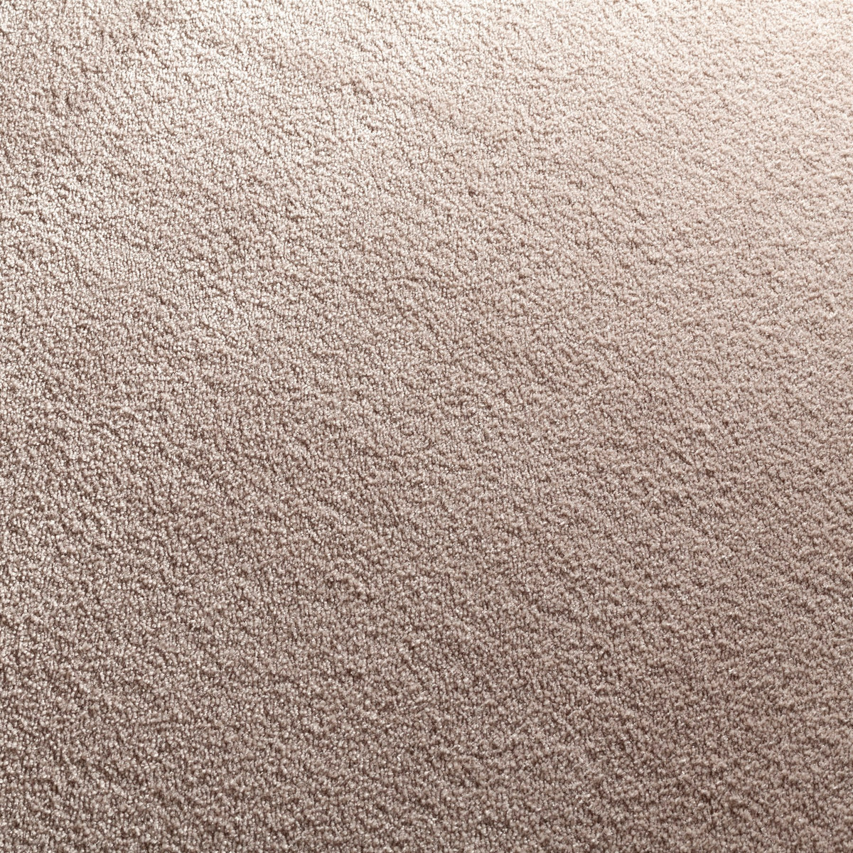 JAB Anstoetz Twinkle Teppich nach Maß | Farbe: Taupe Hell (222)