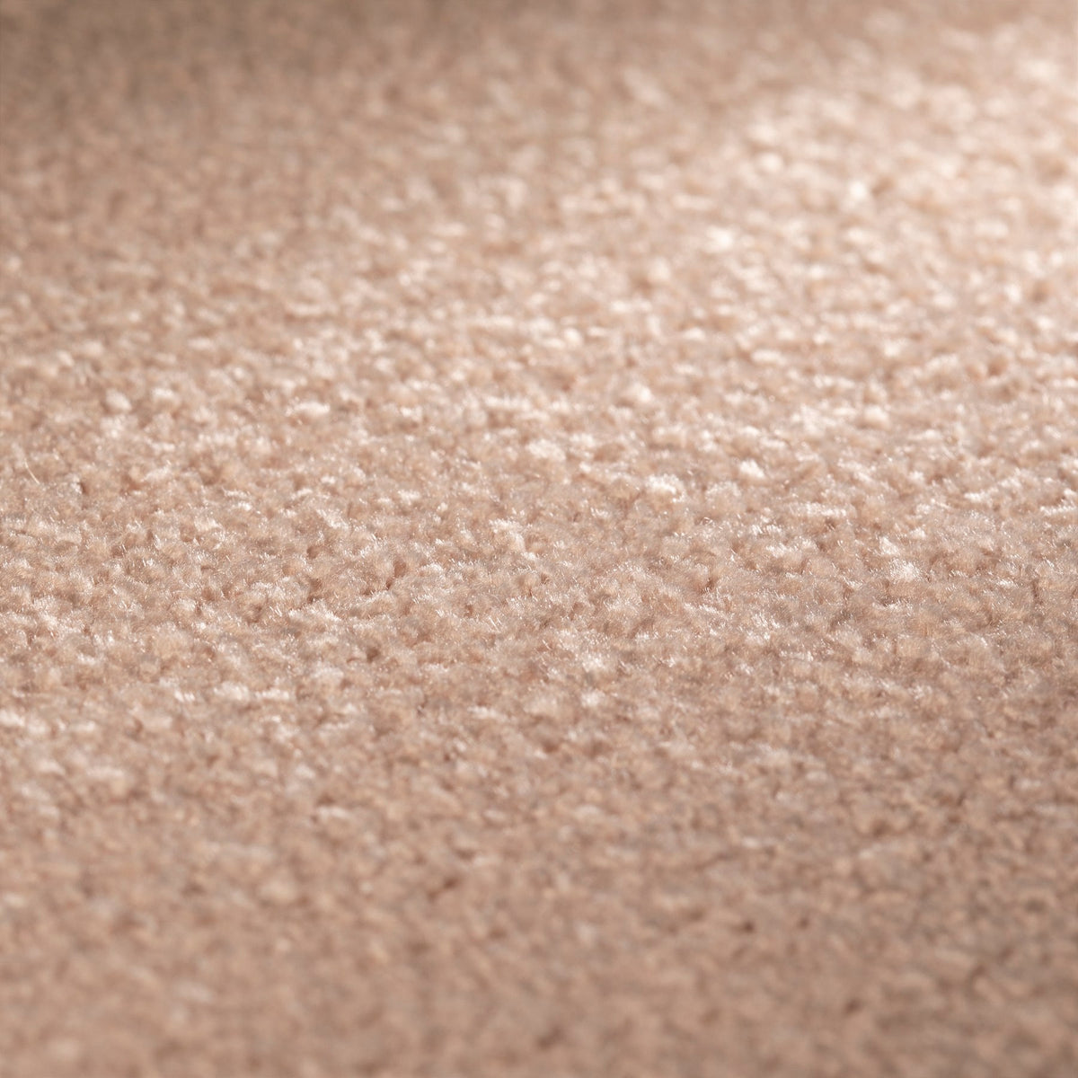 JAB Anstoetz Twinkle Teppichboden | Farbe: Nougat (379) | Raumansicht