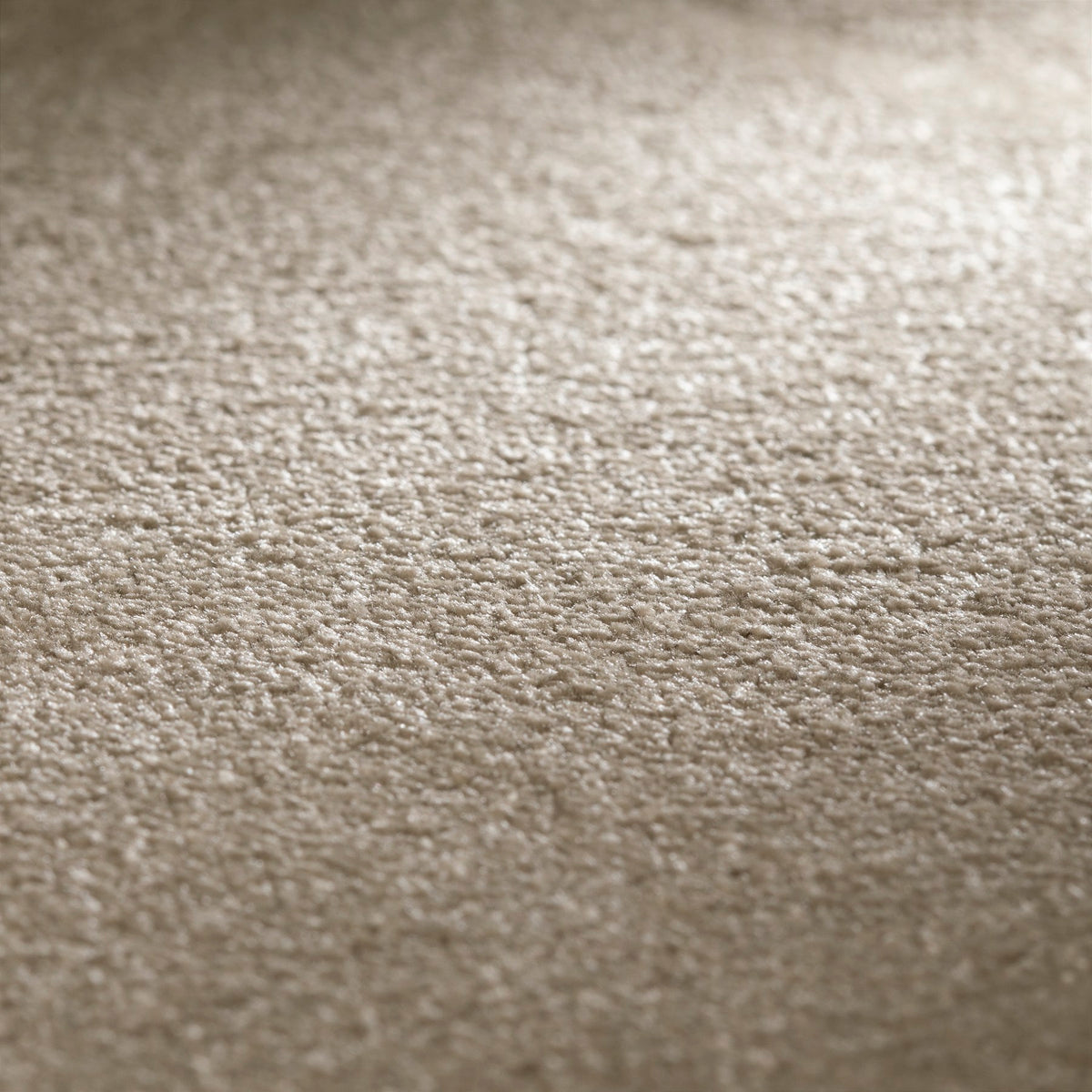 JAB Anstoetz Ocean SD Teppichboden | Farbe: Taupe (476) | Raumansicht
