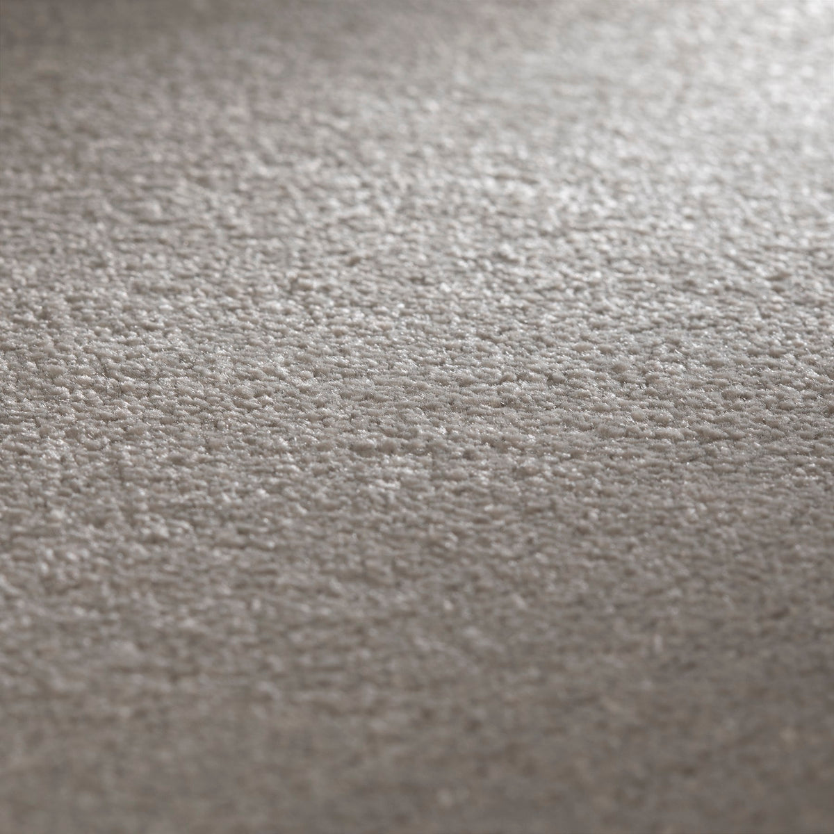 JAB Anstoetz Ocean SD Teppichboden | Farbe: Grau (492) | Raumansicht