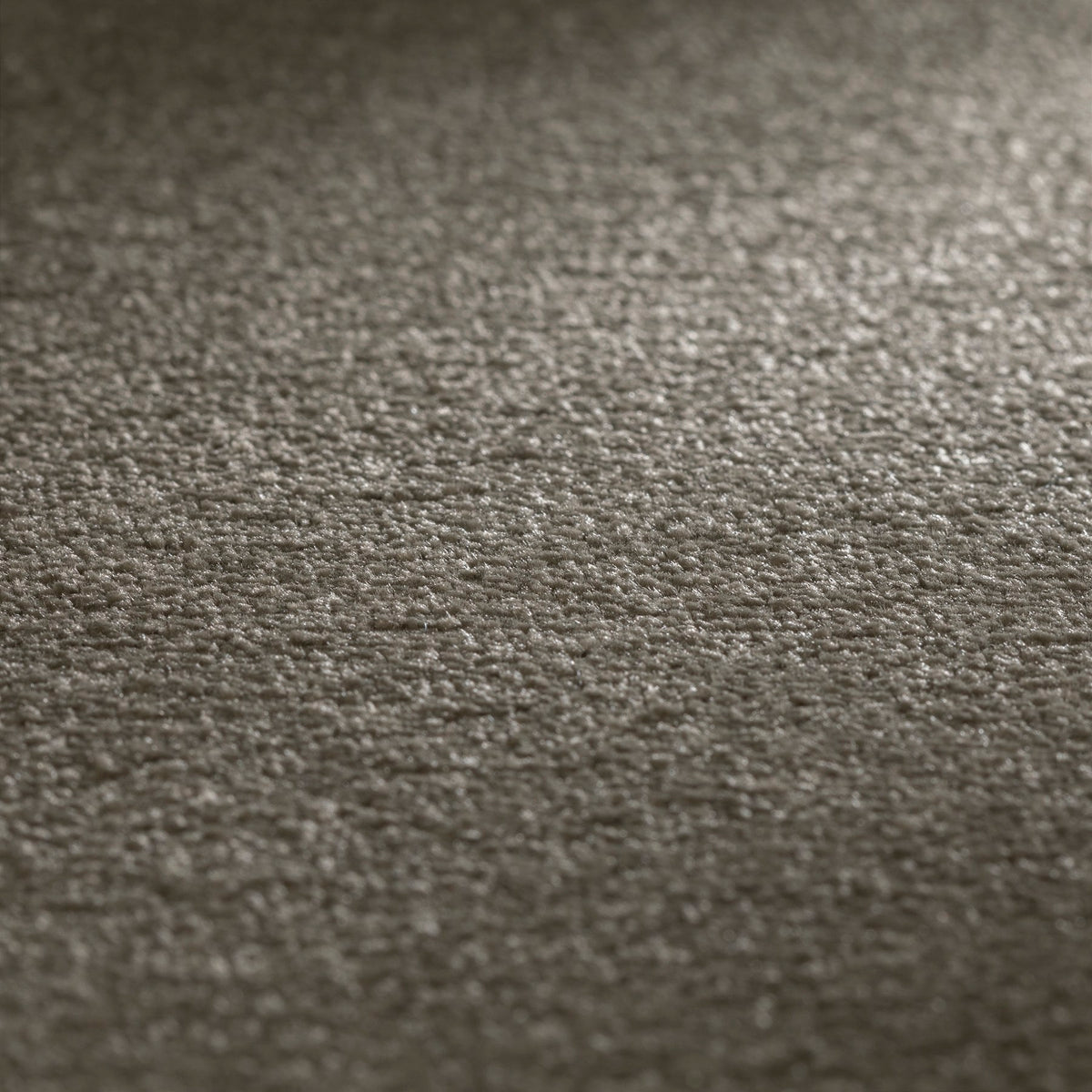 JAB Anstoetz Ocean SD Teppichboden | Farbe: Mokka (526) | Raumansicht