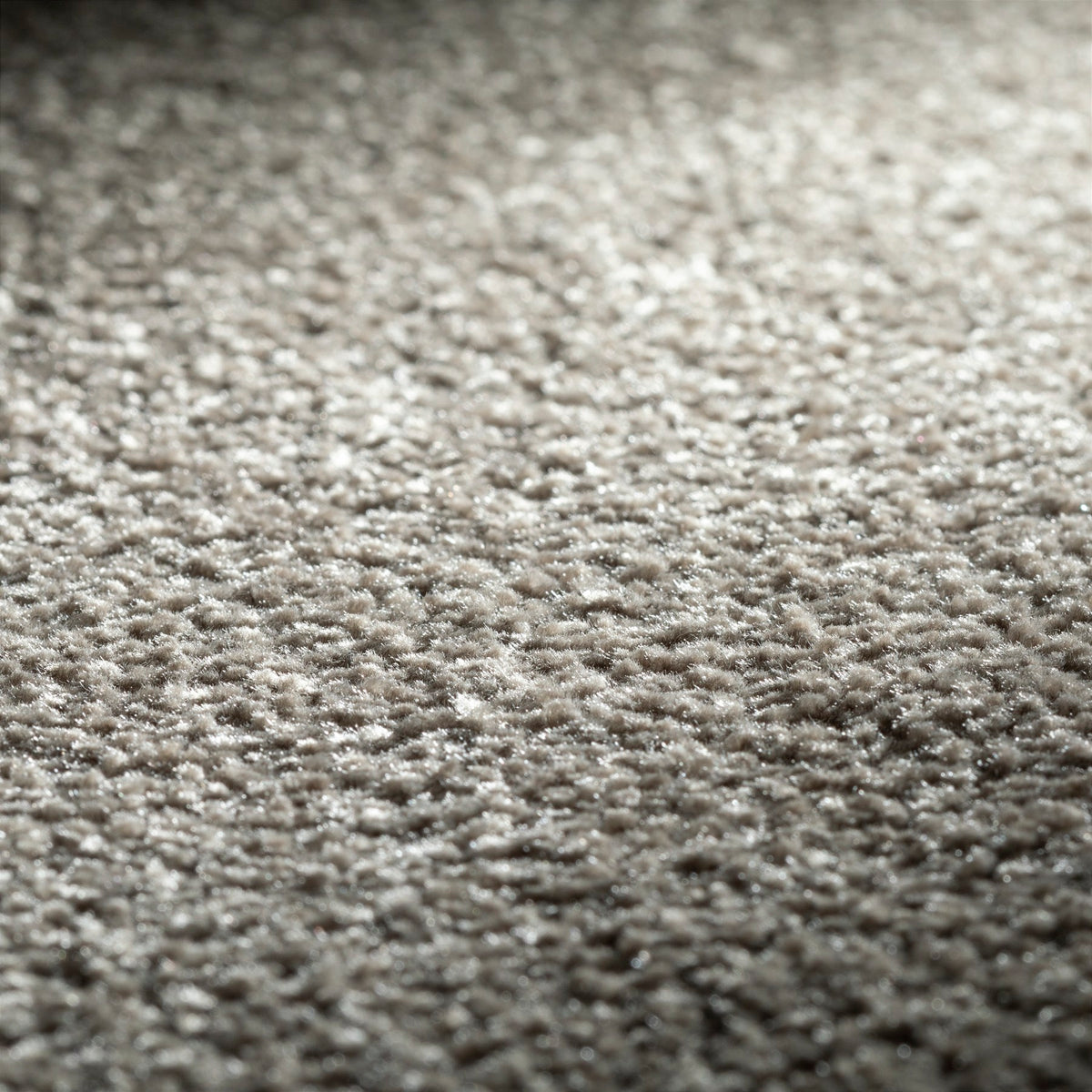 JAB Anstoetz Fame Teppichboden | Farbe: Steingrau (373) | Raumansicht