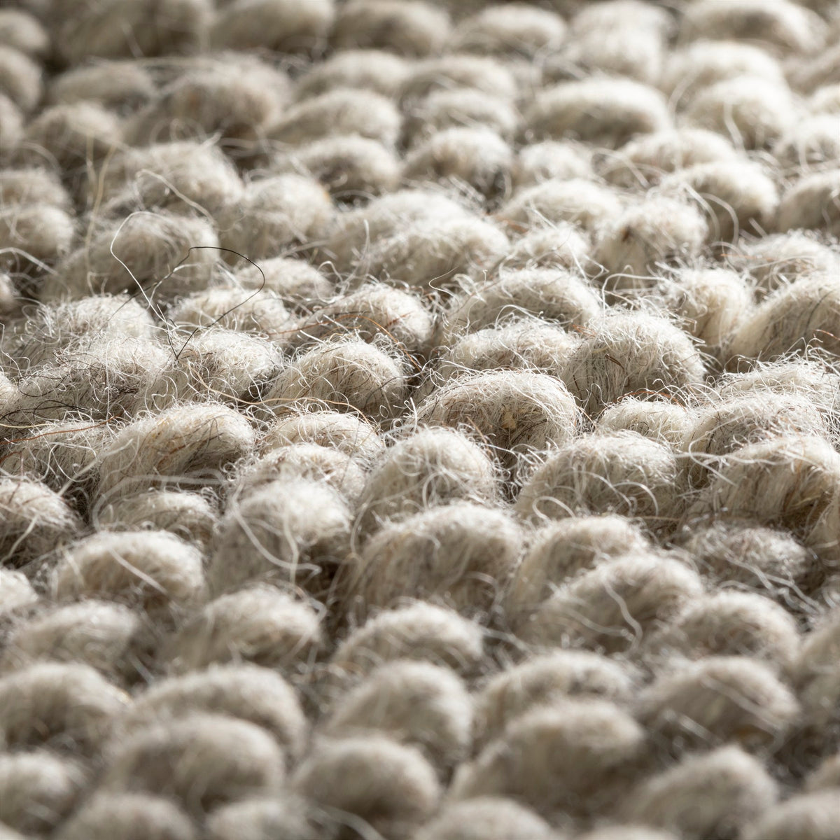 JAB Anstoetz Loop Teppichboden | Farbe: Taupe Dunkel (196) | Raumansicht